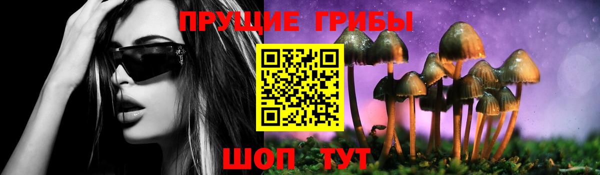 Галлюциногенные грибы GOLDEN TEACHER  Вход с VPN  Тихвин 